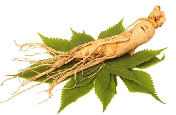 Ginseng: Benefits and Side Effects Pills for Erectile dysfunction